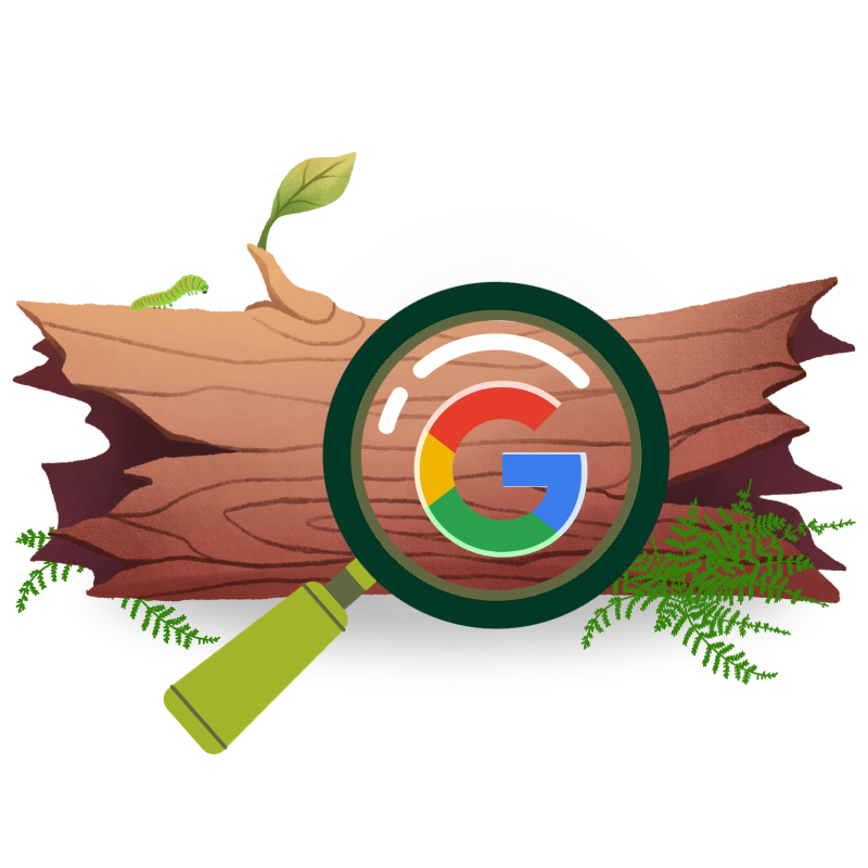A magnifying glass looking at the Google logo on a tree trunk